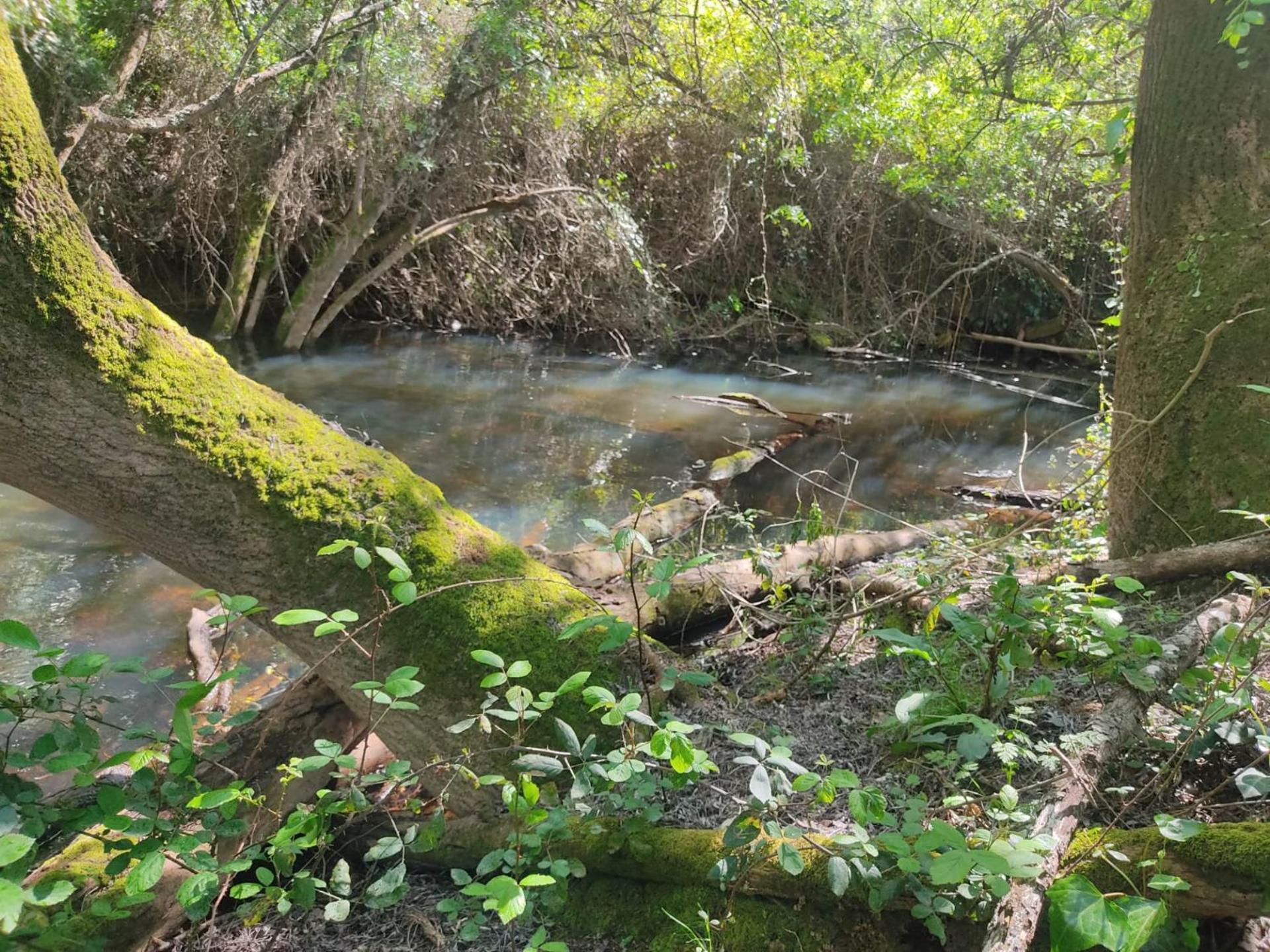 Herdade Da Maceira Βίλα Sao Luis Εξωτερικό φωτογραφία